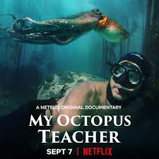 Pippa ehrlich 22 oct 2015. My Octopus Teacher Pippa Ehrlich Interview