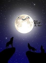 Howling At The Moon Funny Pictures Howl At The Moon Bones Funny