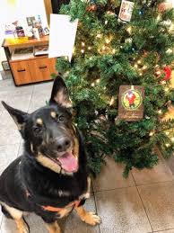With autoship, you can schedule regular deliveries of your pet/animal's medications and food right to your front door — with free shipping!* select your own delivery schedule. Animal Farm Pet Hospital 5601 Mission St San Francisco Ca Veterinarians Mapquest