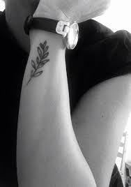 Olive Branch Tattoo 17 Olive Branch Tattoo Branch Tattoo Olive Tattoo