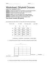 Epistasis is when a pair of alleles (i.e. Dihybrid Cross Worksheet Name Period Worksheet Dihybridcrosses Unit3 Genetics Step 1 Step 2 Step 3 Step 4 Step 5 Compl Course Hero