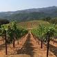 Mauritson Wines Dinner at French Hen — Wine Tastings | Wine Dinners | Wine Events in Tulsa, Oklahoma