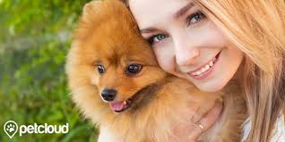 Pups is a community of over 11,000 experienced, professional pet sitters and businesses that takes pride in fostering an environment of collaboration, professionalism, and support. Dog Boarding Pet Sitting In Real Homes Petcloud Rspca Qld Partner
