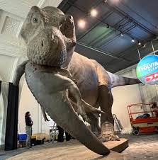 New SUE enters the chat. 👀 For a limited time, our famous fossil has a  fleshed-out fellow overlooking the Museum's main hall. 🦖 Me(a)t our  fleshed-out, life-sized SUE and its unlucky Edmontosaurus