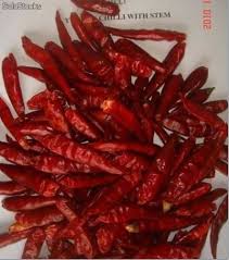 Chile Japones Chaotian Chili