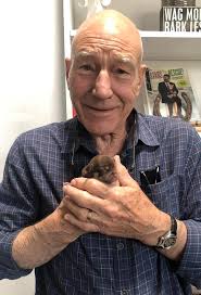 Sir Patrick Stewart's heart is melting holding this 1 week old puppy. :  r/pics