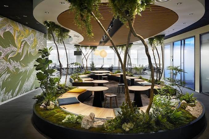 Biophilia and Biophilic Design: 10 Tips and 4 Inspiring Examples