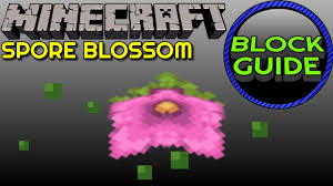Or you could continue the spire/cylinder with a same diameter piece but a … How To Get Spore Blossom In Minecraft