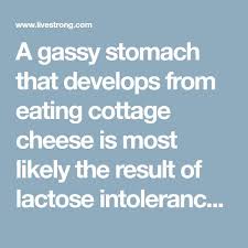 A Gassy Stomach And Cottage Cheese Stomach Ache Cramps Vomiting Nausea