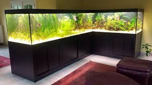 Aquarium Op Maat Maatwerk Door Neon Aquarium Aquariumvissen Huis Aquarium