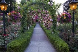 Rose Garden At Butchard Gardens In Full Bloom Victoria British Columbia Canada Photographic Print Terry Eggers Art Com In 2020 Colonial Garden Garden Bulbs Urban Garden