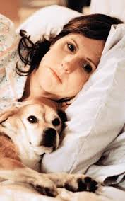 Year of the Dog” lets humans show soft underbellies