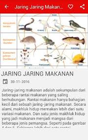 Perbedaan utama antara rantai makanan dan jaring makanan adalah bahwa rantai makanan merupakan urutan linier organisme di mana energi dan nutrisi lewat sedangkan jaring makanan adalah kompleks rantai makanan yang saling berhubungan dari ekosistem tertentu. Jaring Jaring Rantai Makanan Pour Android Telechargez L Apk