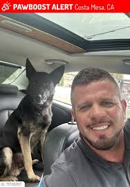 Missing from Shasta Lake area. (Redding)