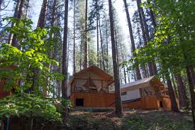 Picnic table, bear box more. Camping Go Nevada County