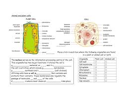 Check spelling or type a new query. Animal And Plant Cells