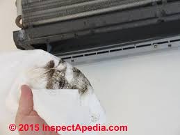 This product can be purchased from a hardware store or home. How To Clean A Moldy Air Conditioner
