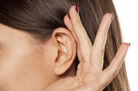 images?q=tbn:ANd9GcTvpZwjs-qOULnem3cMkrF