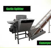 How to automatically sort garlic cloves - HUAYO AGRO MACHINE