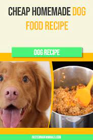 Cheap Homemade Dog Food Recipe Dog Food Recipes Homemade Dog Food Dog Recipes