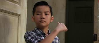 It has received mostly positive reviews from critics and viewers, who have given it an imdb score of 7.5 and a metascore of 67. Ip Man 2 With Donnie Yen Sammo Hung