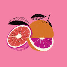 Bloodoranges Png Orange Art Graphic Illustration Fruit Illustration