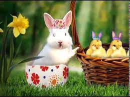 The description of frohe ostern wünsche 2020 für whatsapp kostenlos app. Whatsapp Ostern Germany Youtube