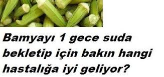 Bobrek Taslarina Son Denemis Tariftir Bobrek Tasi Agrisinin Ne Demek Oldugunu Bilen Birisi Olarak Sizlerle Dogal Dogal Saglik Bitki