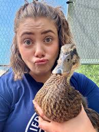 Drakes for adoption in Shawnee area