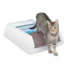 Amazon Com Petsafe Scoopfree Original Self Cleaning Cat Litter Box Automatic With Disposable Litter Tray And Self Cleaning Litter Box Litter Box Litter Tray