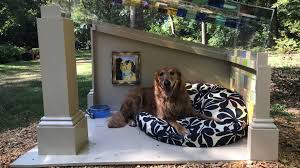 Woof Norfolk Botanical Garden Makes Sunday Dog Days Year Round Program 13newsnow Com