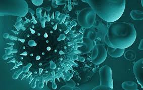 The chance of a severe infection is highest for Respiratory Syncytial Virus Rsv Rapid Diagnostic Tests