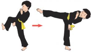 Tendangan kaki kanan dari samping ke depan, hentakkan telapak kaki, dengan perkenaannya sisi bagian tajam telapak kaki, telapak kaki, dan tumit. Belajar Gerakan Silat Tendangan Gurune Net