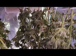 See more ideas about lighting design, interior lighting, ceiling lights. Video Migrolight