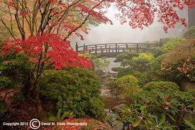Capturing Oregon The Portland Japanese Garden Travel Oregon