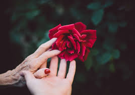 Check spelling or type a new query. Five Spiritual Signs That Death Is Nearing Crhcf