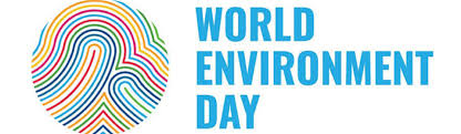The foods we eat, the air we breathe, the water we drink, and the climate that makes our planet habitable all come from nature. Join Efdn In Celebrating World Environment Day 2020 European Football For Development Network