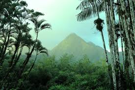 Martinique is an island and an overseas department/region and single territorial collectivity of france, and therefore an integral part of the french republic. Beste Reisezeit Beste Reisezeit Martinique