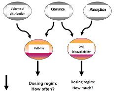 In silico methods have the advantage that. Use Of Analytical Methods And In Silico Techniques In Public Health Research Intechopen