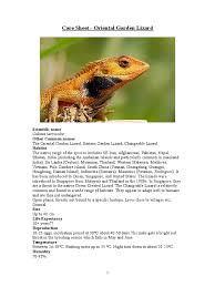 Gardens, ponds and streams allow populations to prosper. Care Sheet Oriental Garded Lizard Organisms Nature