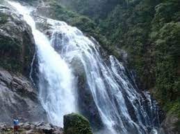 Bijagual Waterfall Tours A Majestic 600 Meters Is One Of The Highest Waterfalls In Costa Rica
