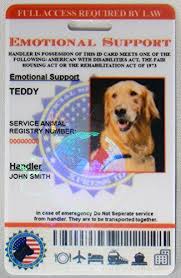 Amazon Com Holographic Emotional Support Dog Id Card Pet Supplies Emotional Support Dog Support Dog Emotional Support Animal