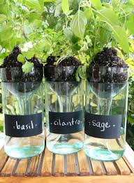 8 Idees Originales Pour Transformer Une Bouteille En Objet De Deco Jardin Dans Une Bouteille Jardinieres Diy Bricolage A Base De Bouteilles