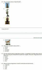 Kuas berfungsi untuk mewarnai patung tsb. Tolong Ya Yang Bisa Brainly Co Id