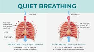 Image result for Sleep Apnea