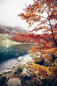 Suɱɱɛʀ ʆѳѵɛ pastel colour palette pastel colors. Autumn Aesthetic Color Palette 748x1122 Wallpaper Teahub Io