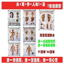 10pcs Chart Human Body Wall Map Acupuncture Point Scrapping