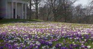 Swedish Interiors By Eleish Van Breems Kew Gardens Landscaping Inspiration Garden Inspiration