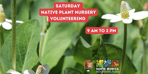 FREE PLANT SATURDAYS! - Native Plant Nursery Volunteering