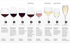 16 Things Everyone Should Know About Wine